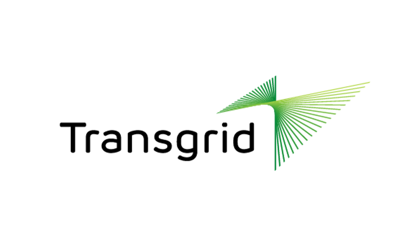 A green and black logo featuring the text "Capula" with a gradient design on the right side.