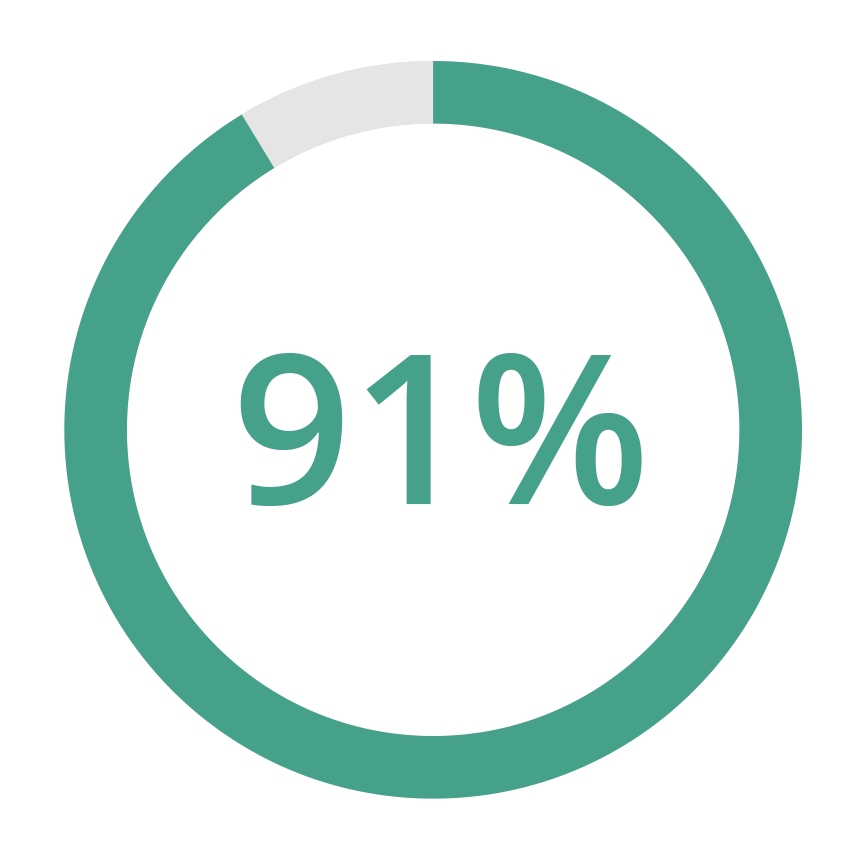 A teal circular progress chart displaying 91% completion with a small empty segment at the top.